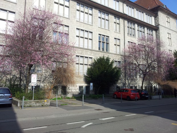 Springtime in Zurich