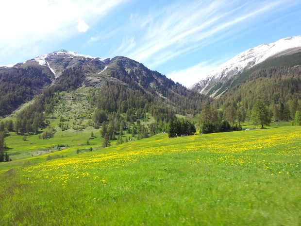 More postcard views...